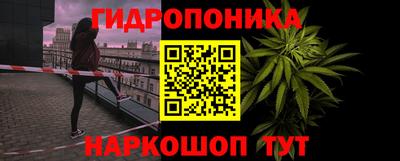 мдпв Пенза