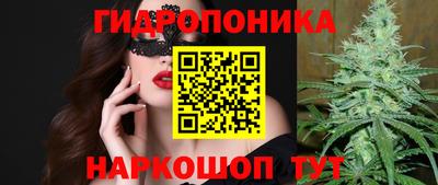 мдпв Пенза