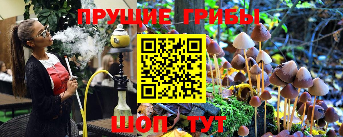 Галлюциногенные грибы GOLDEN TEACHER Глазов