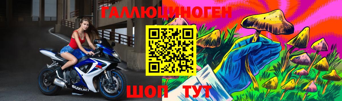 что такое наркотик  Вход с VPN  Глазов  Галлюциногенные грибы Psilocybe 