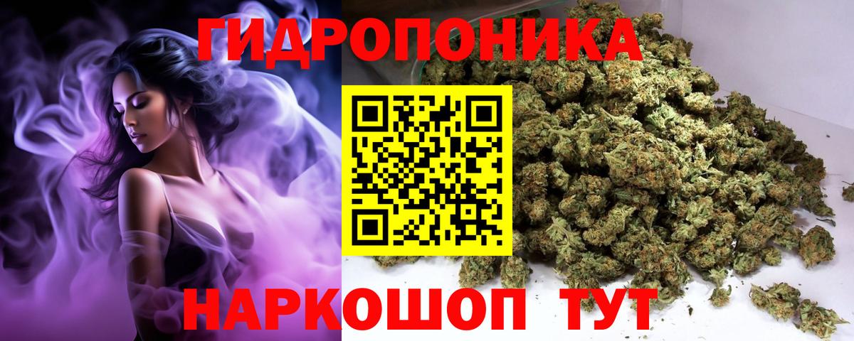 Шишки марихуана планчик Глазов